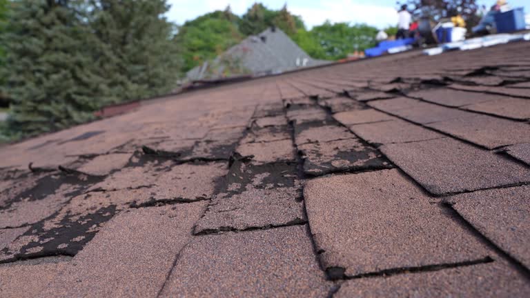Best Commercial Roofing Services  in Escondido, CA