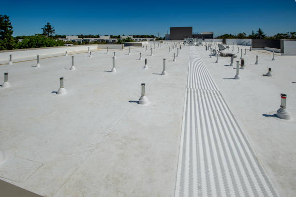 Best Roof Coating and Sealing  in Escondido, CA